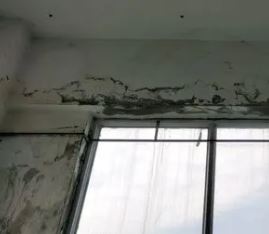 深圳漏水修补公司电话 罗湖楼顶漏水渗水补漏 卫生间渗水维修