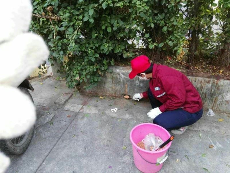 北京周边承接大理石结晶团队承接 诚信服务