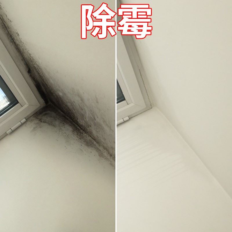 深圳盐田地毯清洗公司,附近羊毛地毯清洗服务快速上门