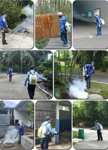 深圳白蚁防治所 灭白蚁消杀除四害公司，全深圳上门服务