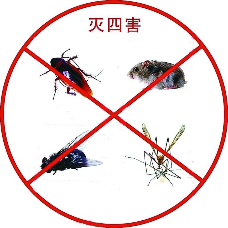 深圳白蚁防治所 灭白蚁消杀除四害公司，全深圳上门服务