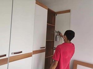 深圳龙岗专业空气净化 除甲醛 祛除异味