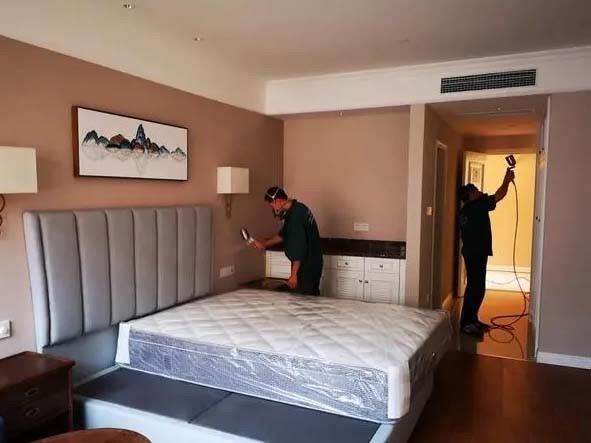 深圳龙岗专业空气净化 除甲醛 祛除异味