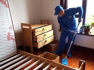 深圳龙岗专业空气净化 除甲醛 祛除异味