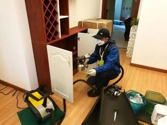 深圳龙岗专业空气净化 除甲醛 祛除异味