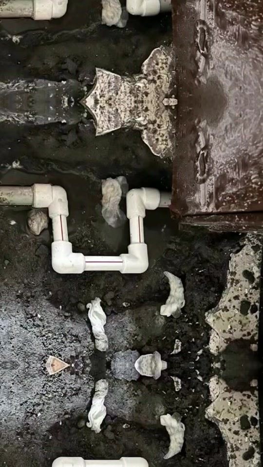 深圳清新家园清洁服务:专业清洁,焕新您的生活空间