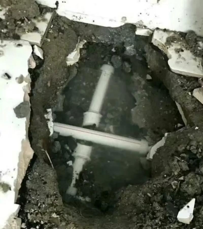 深圳清新家园清洁服务:专业清洁,焕新您的生活空间