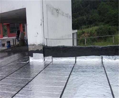 宝安专业内墙渗水维修 地下室专业防水 水池专业防水