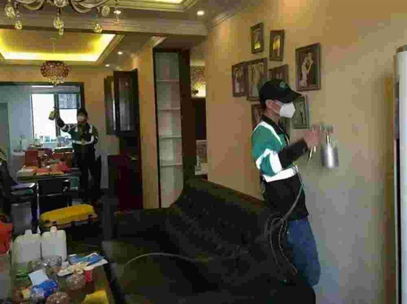 甲醛检测，甲醛治理，空气进化，防霉抑菌，除霉防霉