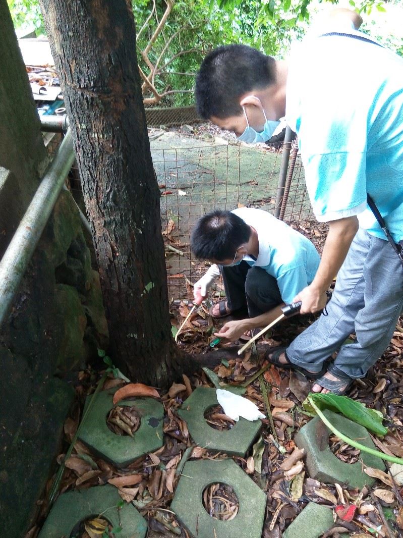 深圳杀白蚁-深圳灭白蚁-宝安杀白蚁-宝安消杀公司-西乡杀白蚁