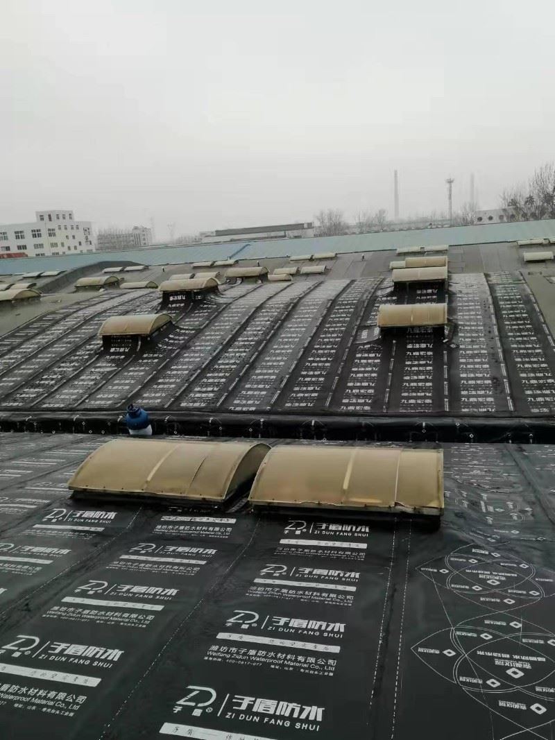 深圳房屋防水补漏装修防水补漏
