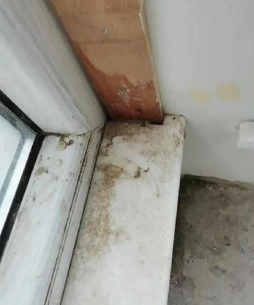 深圳裂缝堵漏上门维修 专业阳台漏雨维修