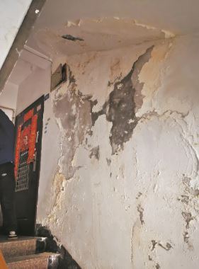 深圳宝安屋面防水维修 松岗外墙渗水漏水维修