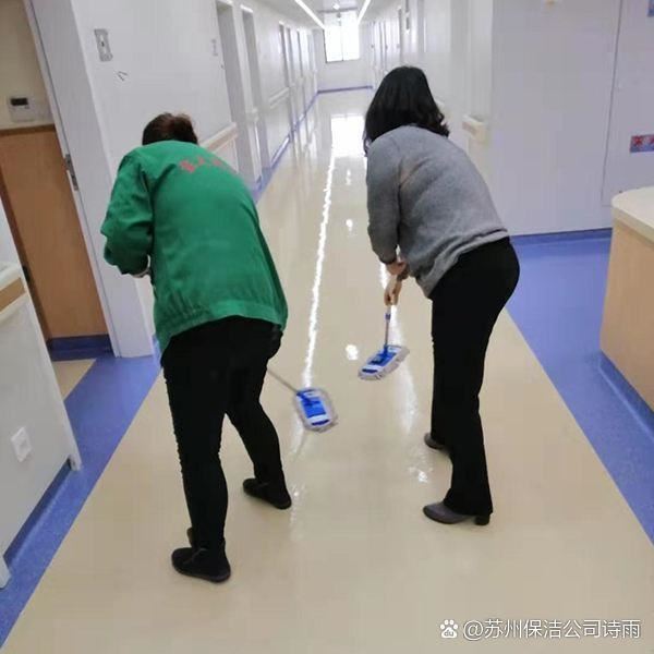 室内保洁是打造干净、整洁、健康室内环境的基础服务,涵盖家庭日常保洁、开荒保洁、深度保洁、办公室保洁、