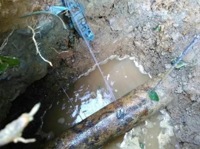 深圳正规防水公司 罗湖楼面防水补漏 客厅漏水 卧室漏水维修